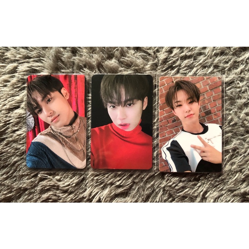 Photocard Mingyu + Hoshi An Ode