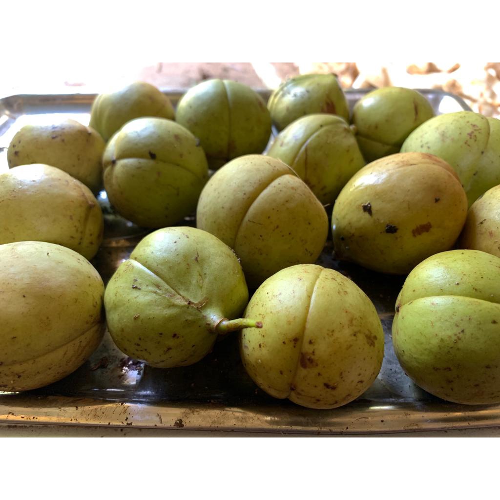

Buah pala segar - Buah pala utuh belum kupas 1kg