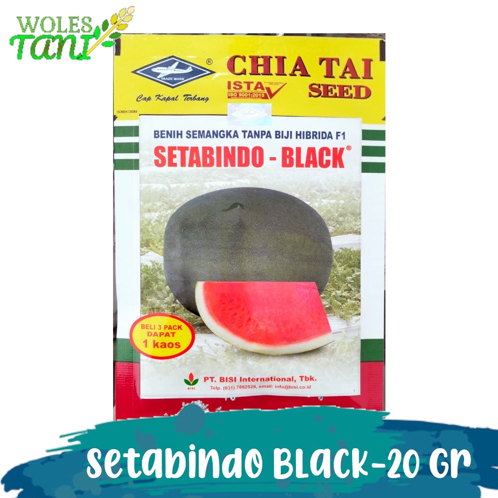 Benih Semangka Hibrida Tanpa Biji Setabindo Black 20 Gram