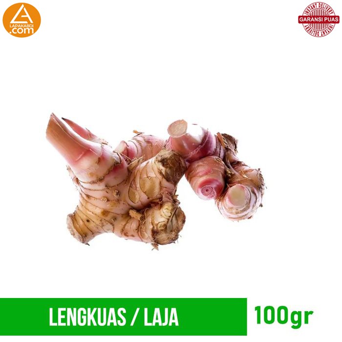 

Lengkuas Laja 500gr Rempah Bumbu Dapur Garansi Termurah