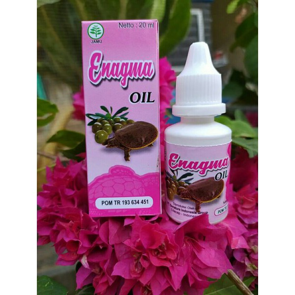 Obat Pembesar Mr. P - Dan Payudara Enagma Oil De Nature