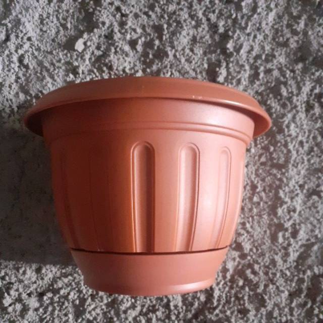 Pot tempel dinding lion star lotus no 6 merah bata