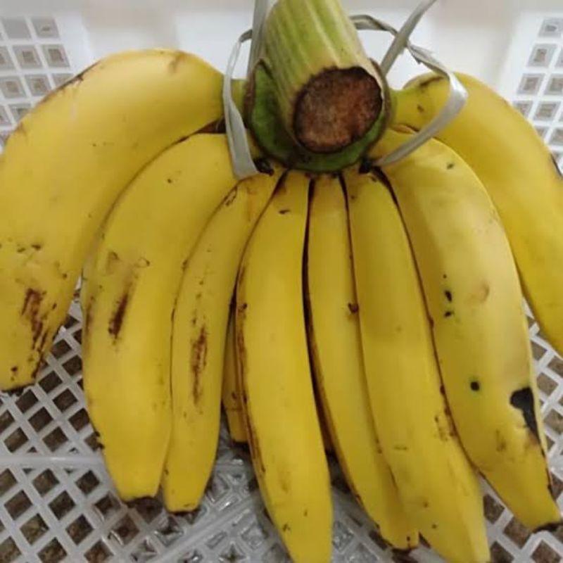 buah pisang ambon 1 sisir