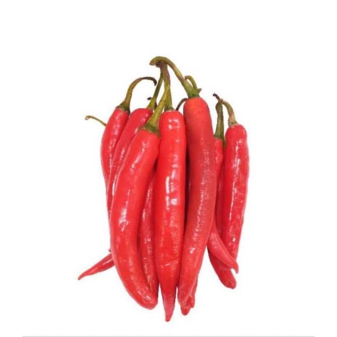 

cabe merah besar