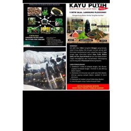 minyak Kayu Putih Plus (MKPP)