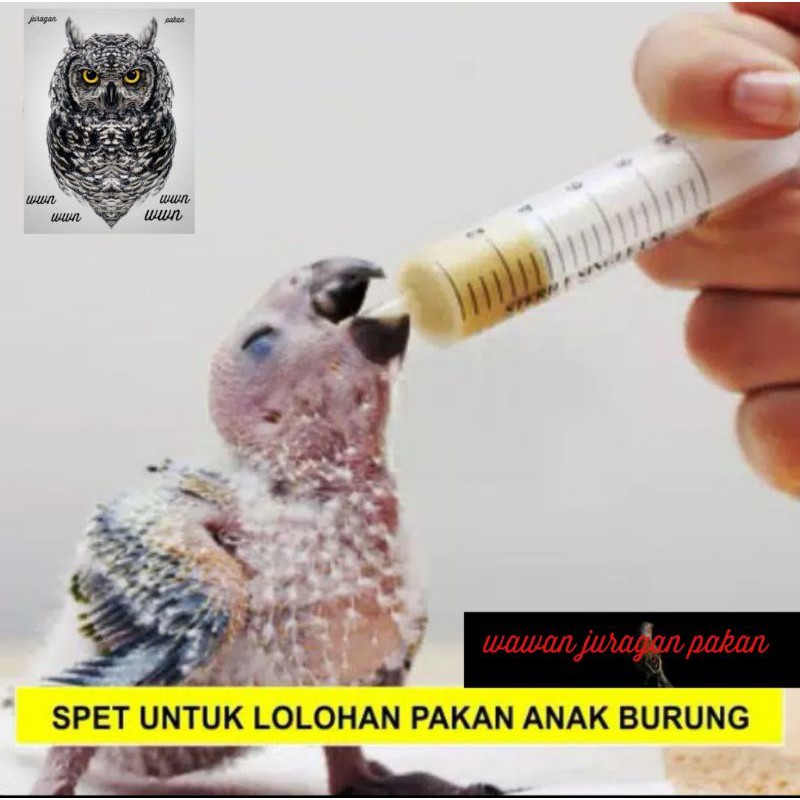 spet khusus lolohan burung, suntikan spet