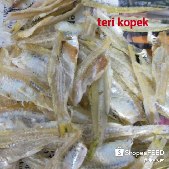 

Teri kopek / teri belah