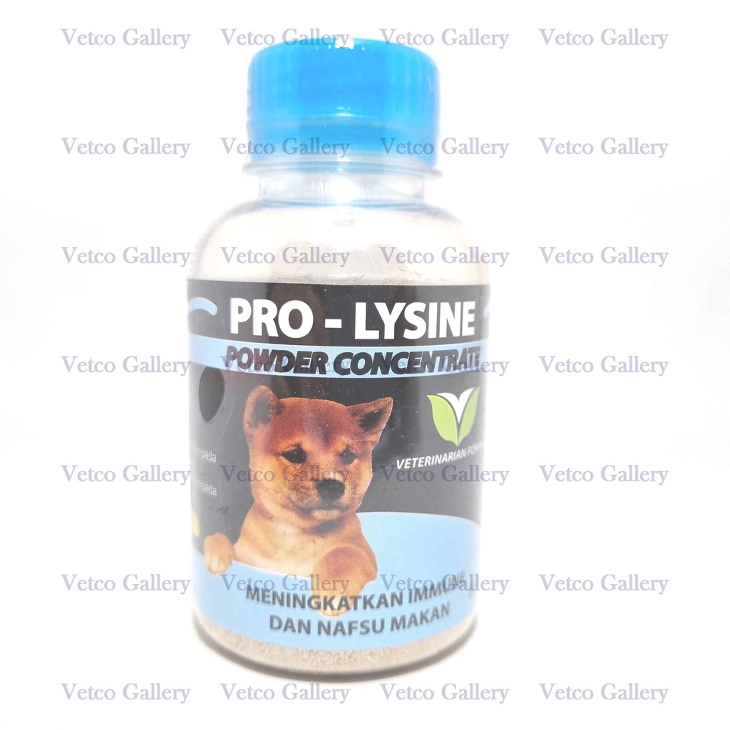 Pro lysine dog 50 gr - Immune and apetite booster menambah nafsu makan