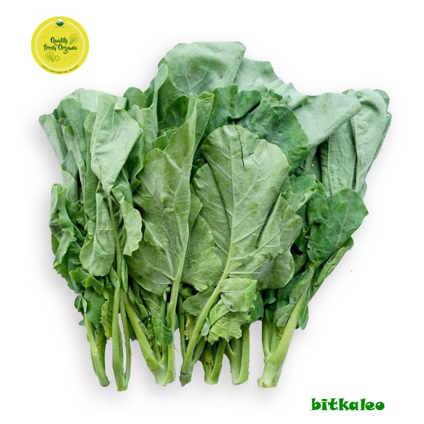 

Kailan Organik 200 gr