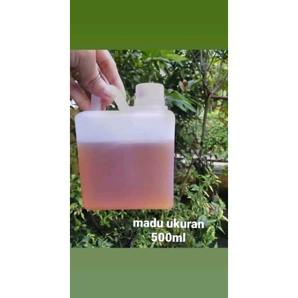 Madu Asli | madu Murni Asli | liar hutan | hutan liar 100%