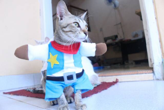 Kostum Koboi untuk kucing &amp; anjing /Jual Baju Kucing Terlengkap &amp; Berkualitas size S-XL