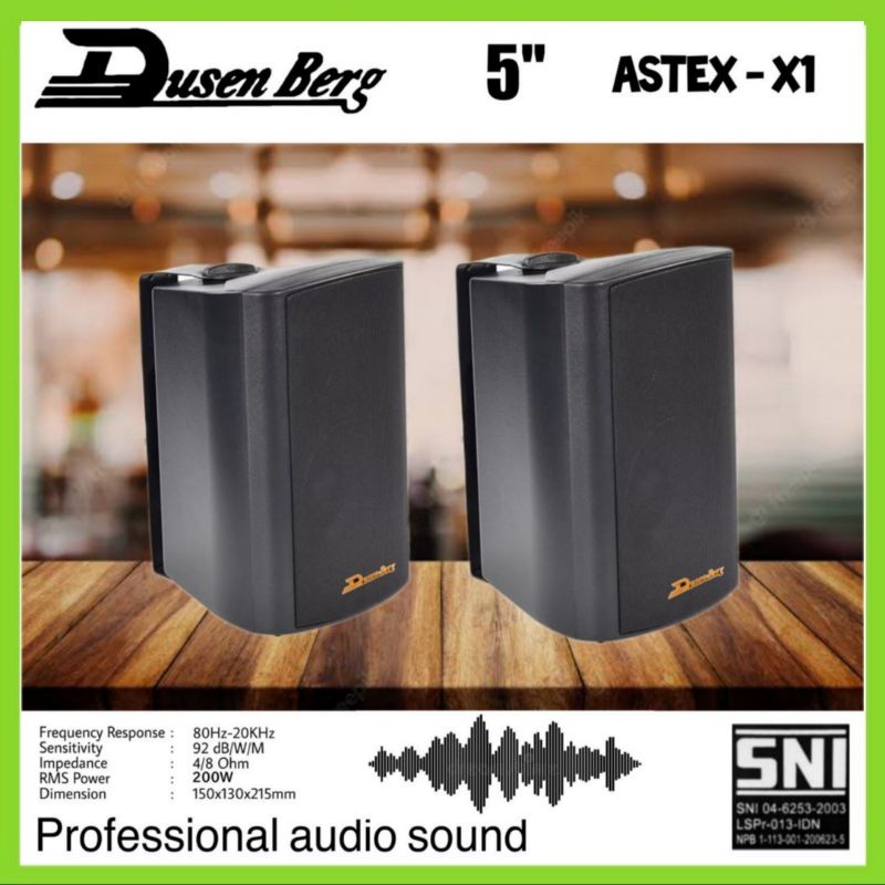 Speaker Monitor DUSENBERG Astex X 1 , Speaker Pasif Wall 5 Inch - 2 Unit  - Cocok Buat Di Cafe , Restoran