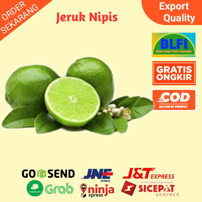 

JERUK NIPIS SEGARRRR