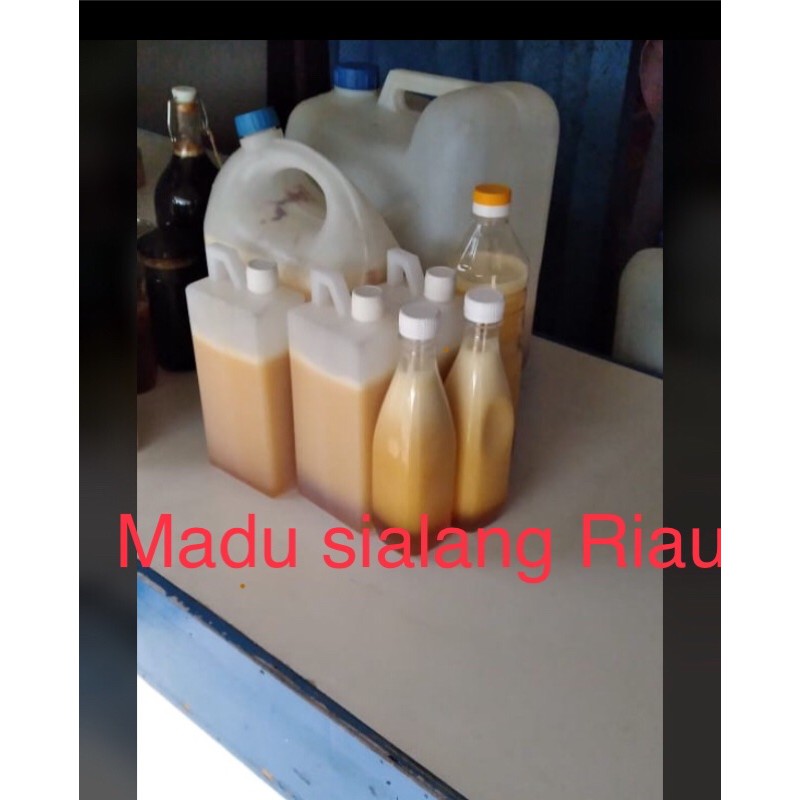 

madu sialang asli riau