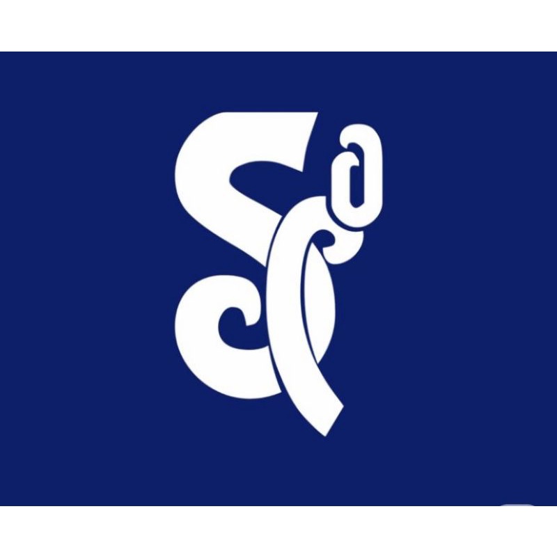 carhart hoodie original