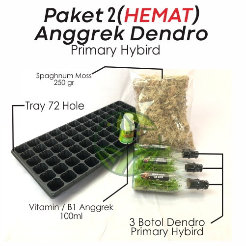 Paket 2 Dendro | 3 Botol Anggrek Dendro Primary Hybird | Anggrek Dendro