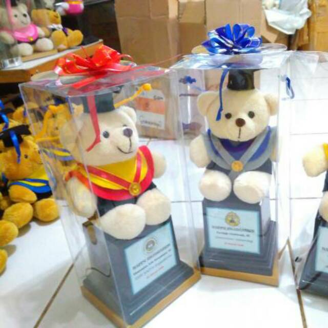 PIALA BONEKA WISUDA TEDDY BEAR 25CM PACKING KOTAK MIKA