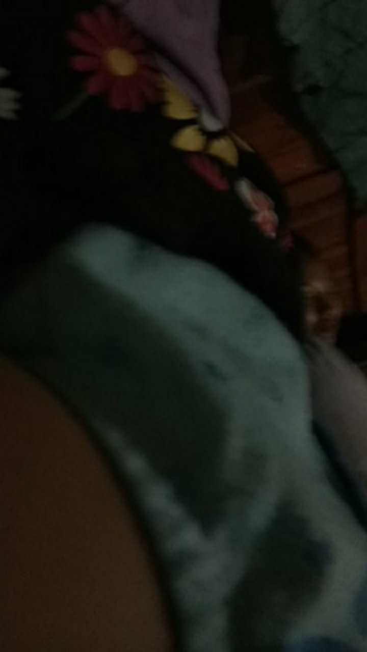 Tempat Sabun Cuci Piring Cairan Busa Sponge Soap Pump Sponge