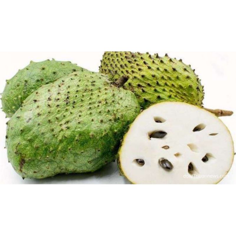 

Buah Sirsak segar/1kg dijual di warunkjuni