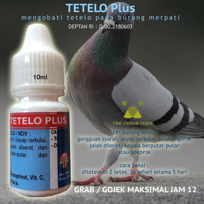Obat Flu Merpati Obat Ngorok Merpati Shopee Indonesia