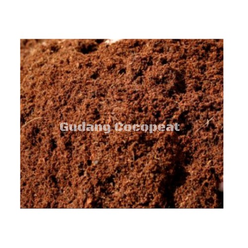 Sabut Untuk Media Tanam, Sabut Kelapa Buat Tanaman, Sabut Kelapa Media Tanam