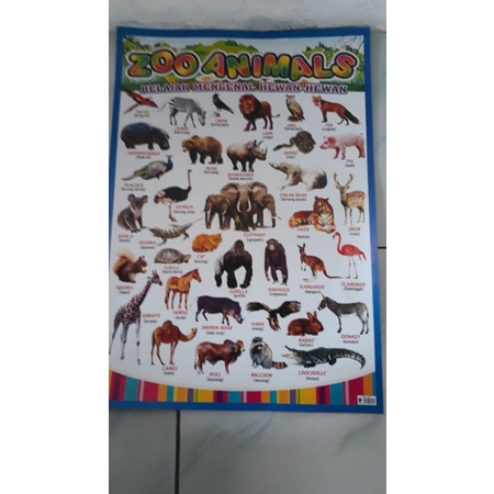 

poster belajar mengenal hewan hewan 1lembar