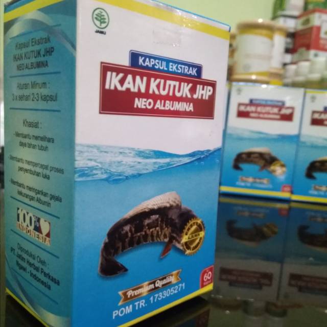 Kapsul ikan kutuk jhp gabus albumina