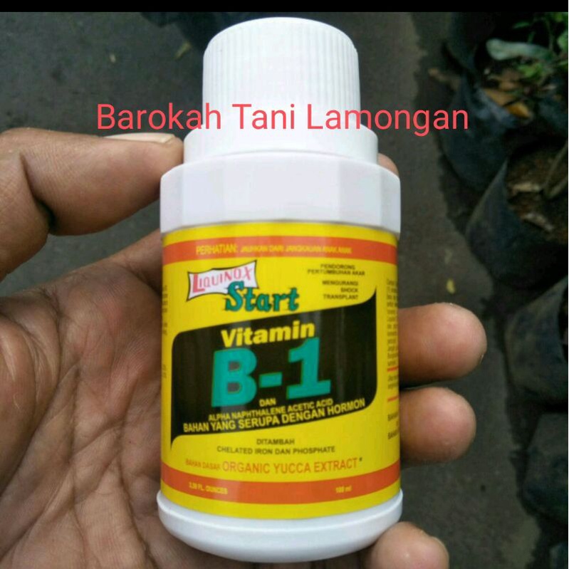 Jual Vitamin B1 Untuk Tumbuhan | Shopee Indonesia