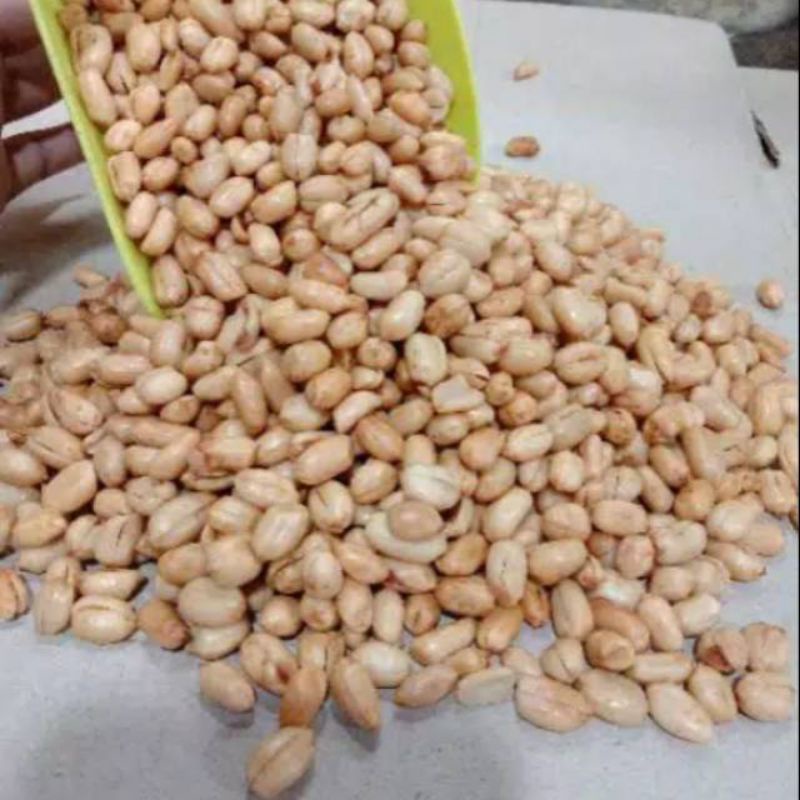 

Kacang bawang khas Madura 250g