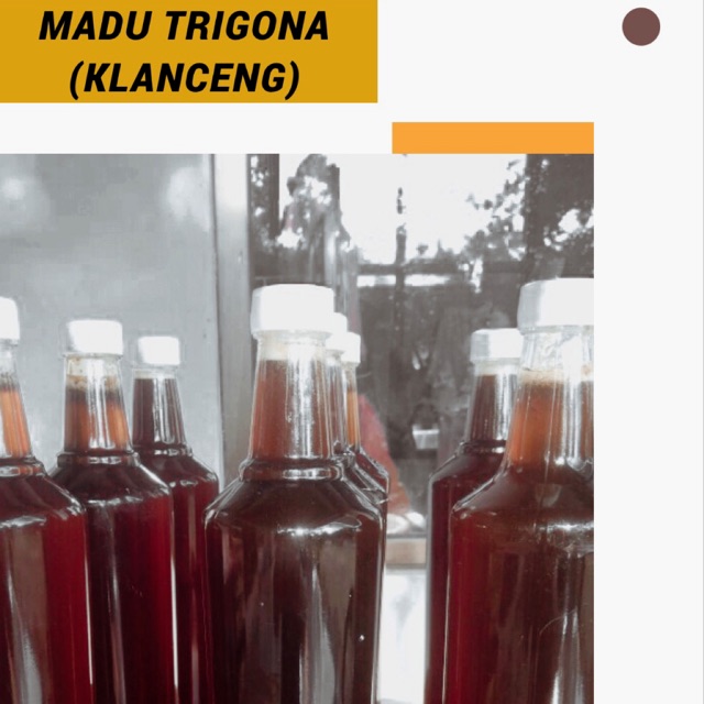 

MADU TRIGONA (KLANCENG)