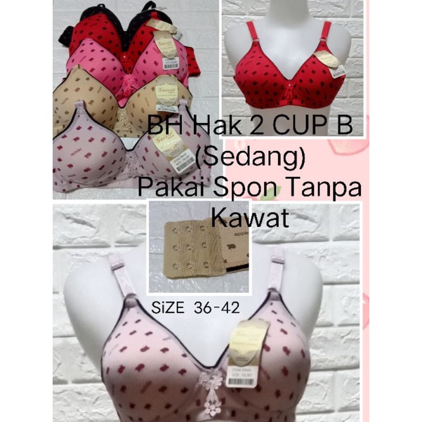 BH Hak 3  CUP B ( Sedang)8946/370  Pakai Spon Tanpa Kawat SiZE 36-42 Pakaian Dalam Wanita BRA Remaja Dewasa