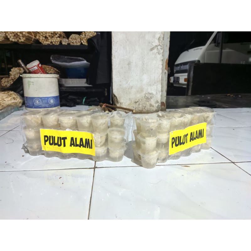 Pulut Burung Jebakan Pikat Getah Karet kemasan