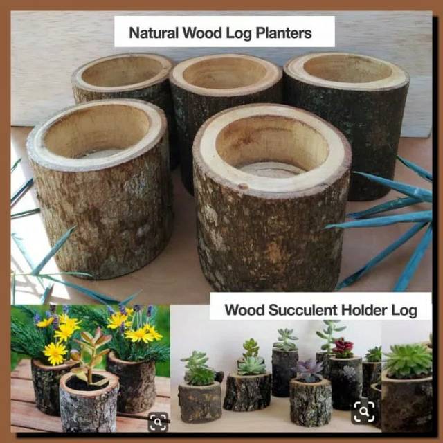 Natural wood log planters succulent pot vas bunga kayu kaktus