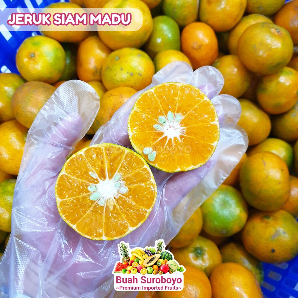 

Jeruk Siam Madu