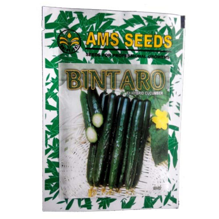 AMS Seed Bintaro Hybrid F1 Cucumber -Benih Mentimun Jepang-10 gram