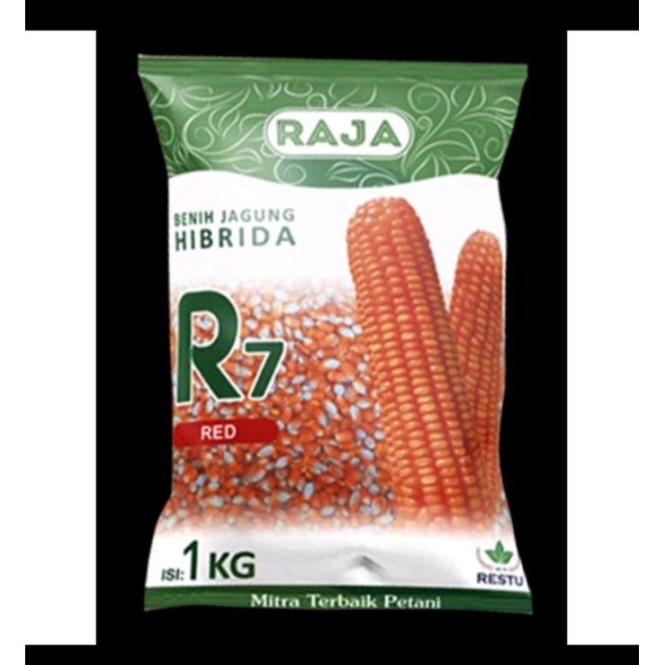 Benih Jagung Hibrida R7 RED