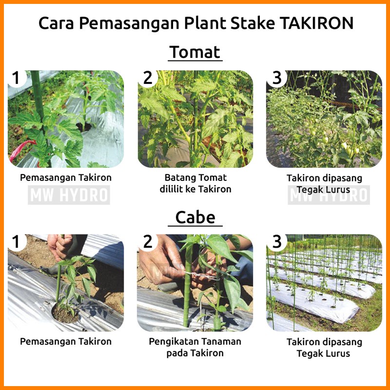 10 pcs Plant Stake / Ajir Tanaman - TAKIRON - 8 mm x 180 cm