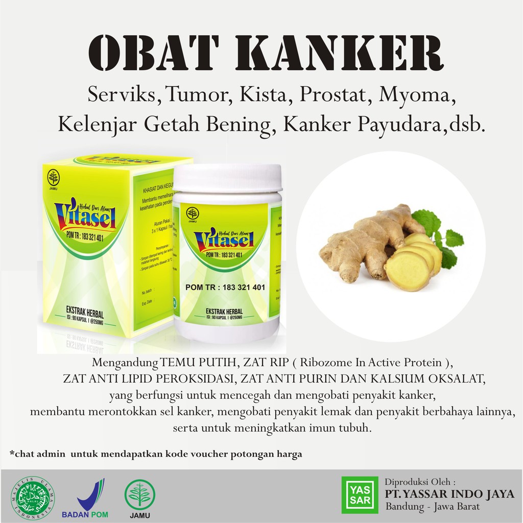 Vitasel | Obat Herbal Anti Kanker | Obat Kanker | Temu Putih | BPOM | SERVIKS | KANKER PAYUDARA