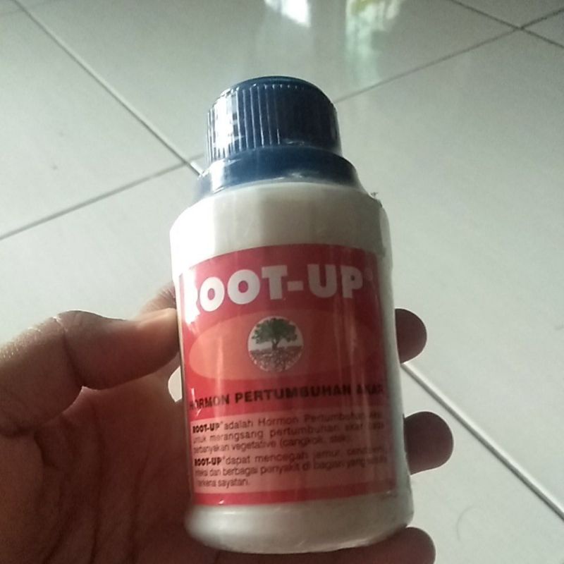 Root up(perangsang akar)