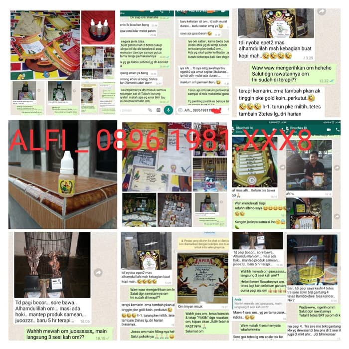 Promo Doping Lovebird Konslet dalam 30 menit Murah