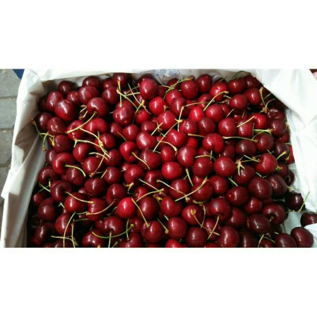 Buah  Cherry Import Jumbo dan Manis Harga  Per  500gram 