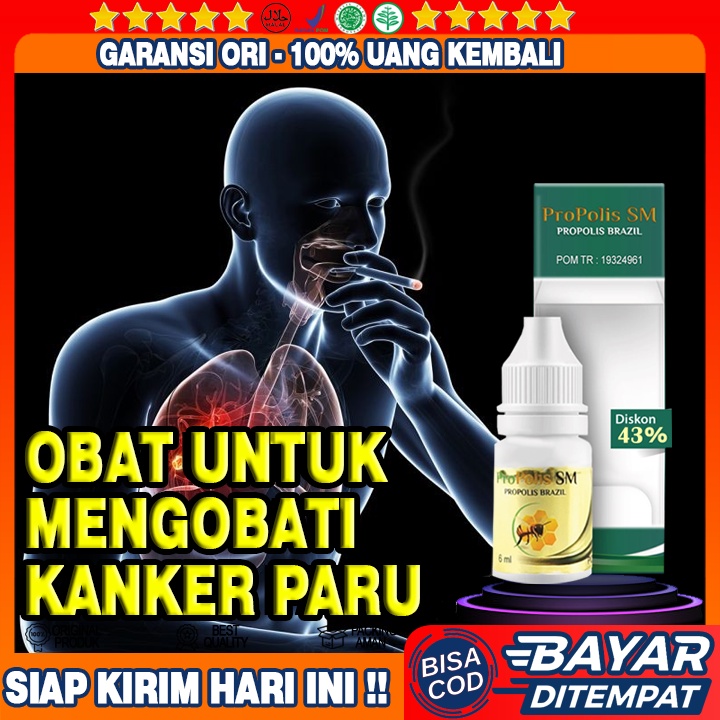 Obat Kanker Paru Paru, Radang Paru Paru, Paru Paru Basah, Infeksi Paru Paru, Silikosis, Flek Paru