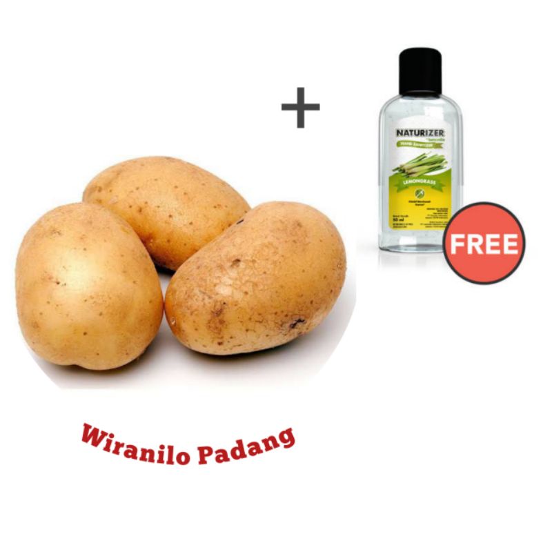 

Kentang Putih Fresh 1 Kg - Wiranilo Padang
