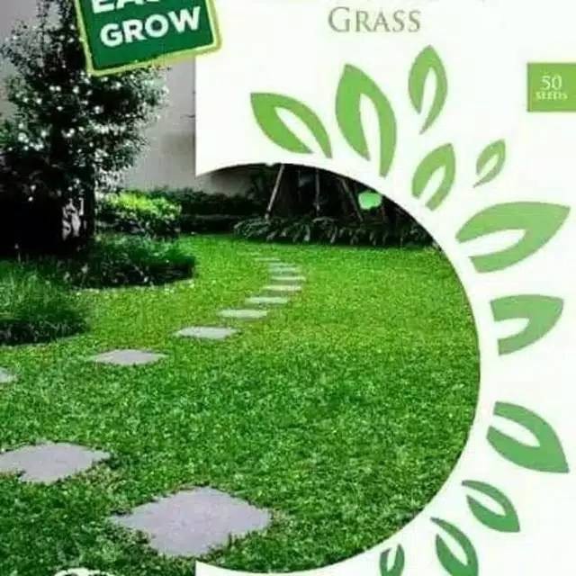 PROMO BIJI rumput gajah mini-benih biji rumput gajah mini-bibit benih biji rumput gajah mini -