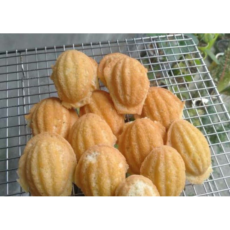 

Bolu Kijing