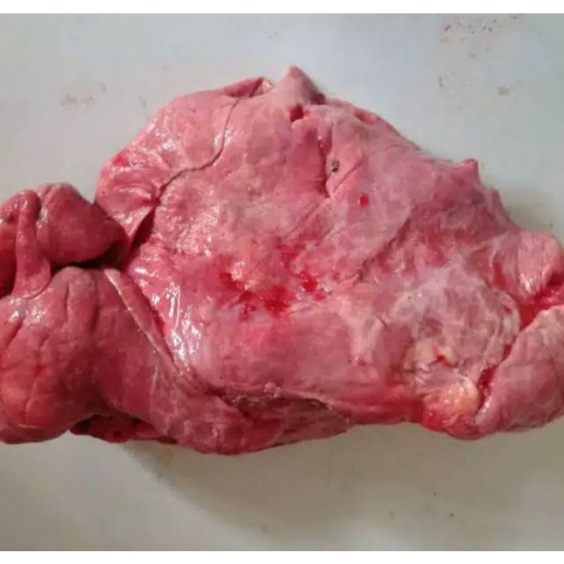 

Jeroan Paru Sapi 1kg