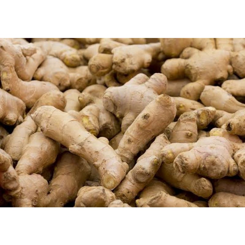 

jahe emprit fress 500 gram