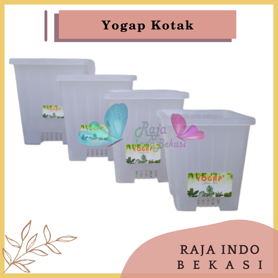 Pot Yogap Kotak 8 10 12 15 Putih Transparan Bening Merah Bata Coklat Terraccota Terakota Orange Pot Segi Empat Hias Pot Yogap 10 13 15 17 18 19 25 30 Pot Yogap Lusinan Pot Kotak Panjang Kecil 8 Cm Tinggi