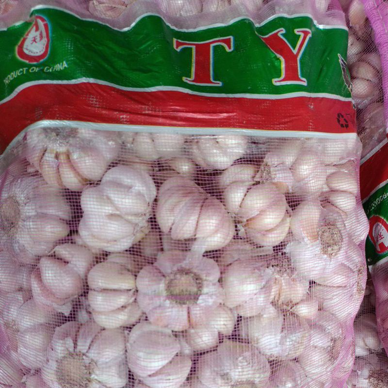 

bawang putih