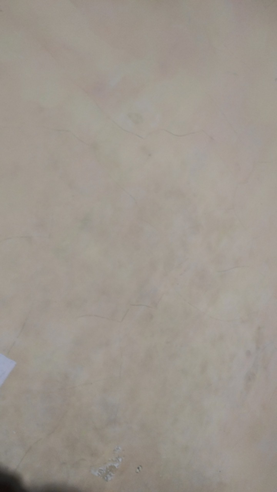 Spon Mandi Jaring / Bath Sponge / Spons Mandi Mekar / Shower Puff